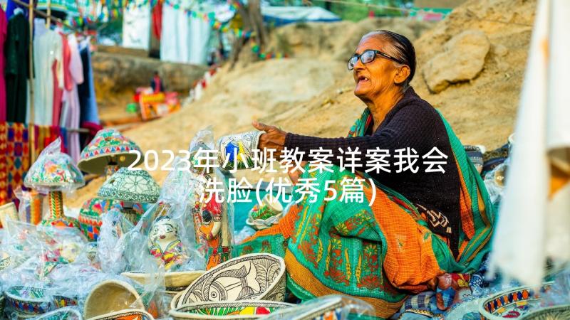 2023年小班教案详案我会洗脸(优秀5篇)