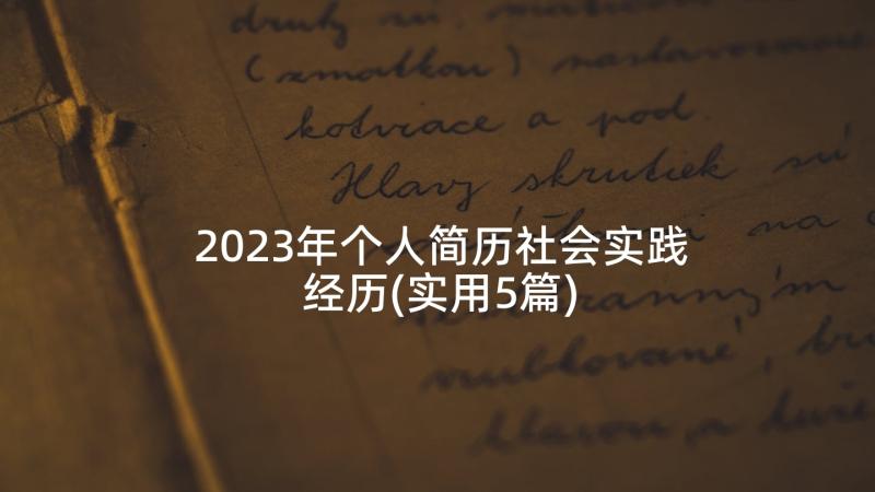 2023年个人简历社会实践经历(实用5篇)