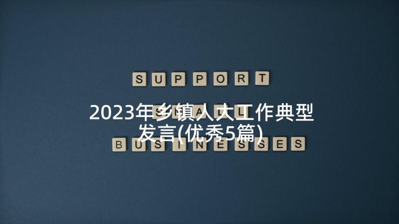 2023年乡镇人大工作典型发言(优秀5篇)