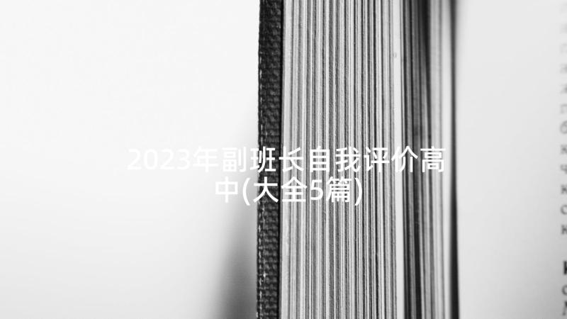 2023年副班长自我评价高中(大全5篇)