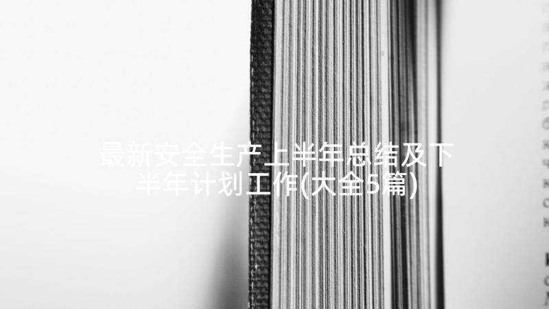 最新安全生产上半年总结及下半年计划工作(大全5篇)