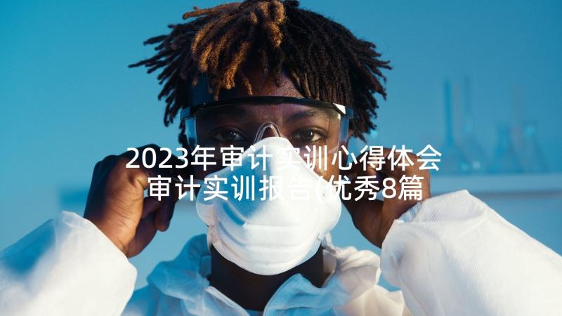 2023年审计实训心得体会 审计实训报告(优秀8篇)