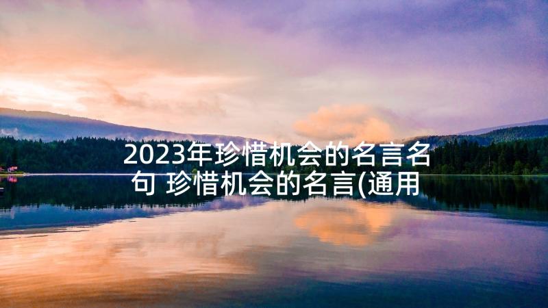 2023年珍惜机会的名言名句 珍惜机会的名言(通用5篇)