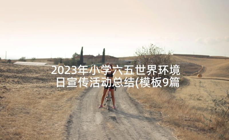 2023年小学六五世界环境日宣传活动总结(模板9篇)