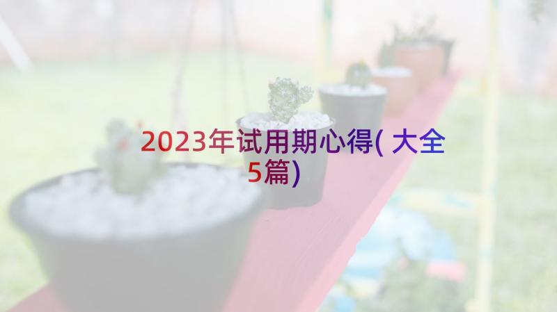 2023年试用期心得(大全5篇)