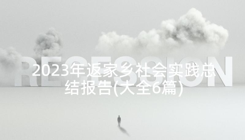 2023年返家乡社会实践总结报告(大全6篇)