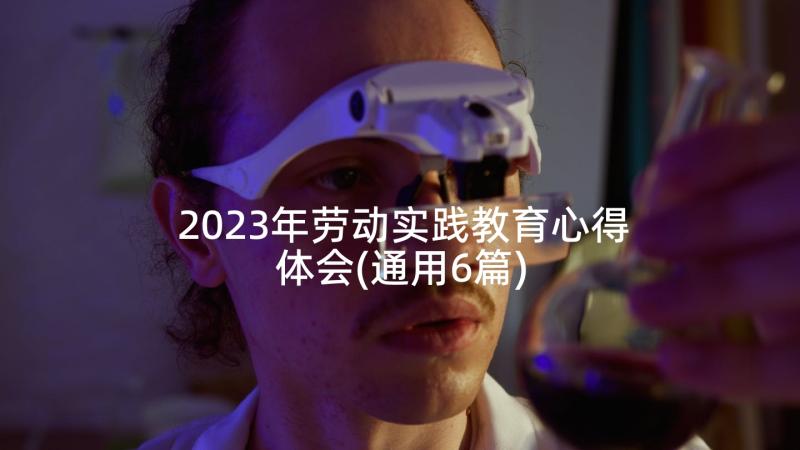 2023年劳动实践教育心得体会(通用6篇)