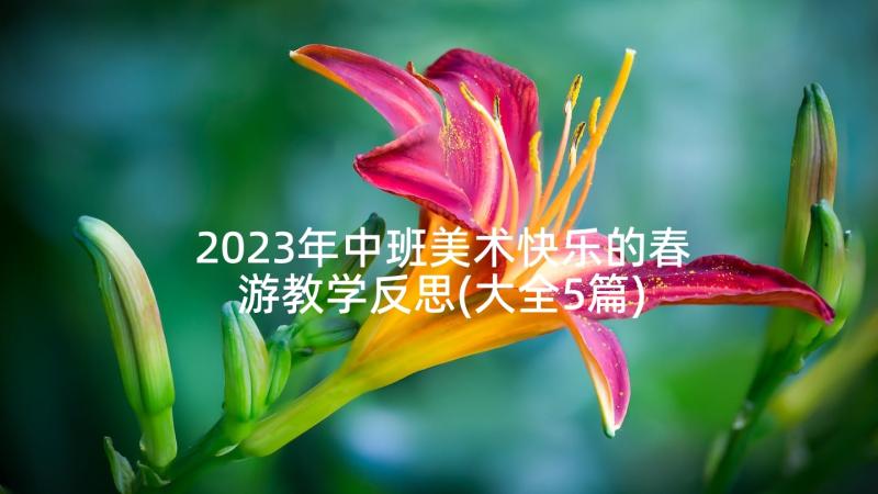 2023年中班美术快乐的春游教学反思(大全5篇)