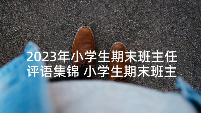 2023年小学生期末班主任评语集锦 小学生期末班主任评语(大全9篇)