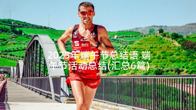 2023年端午节总结语 端午节活动总结(汇总6篇)