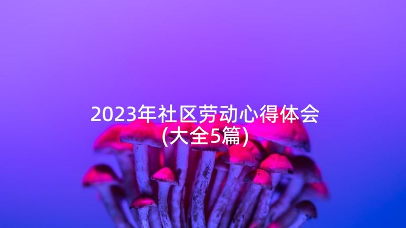 2023年社区劳动心得体会(大全5篇)