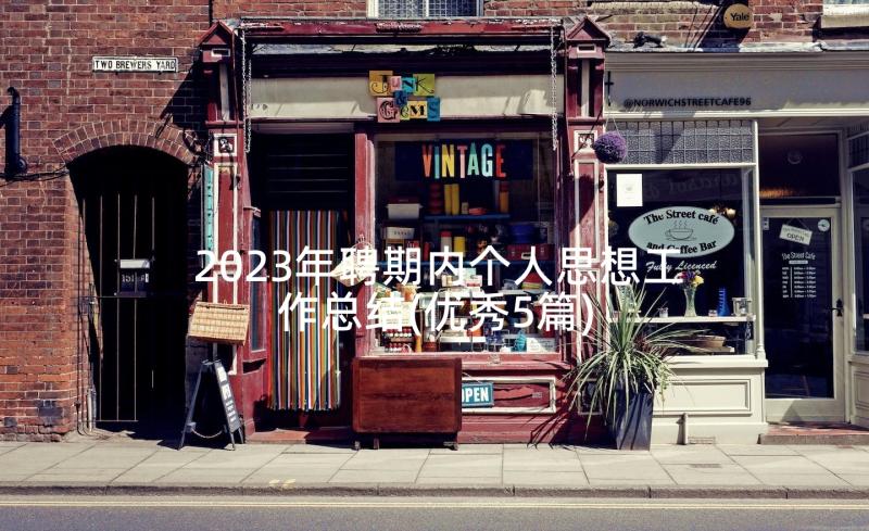 2023年聘期内个人思想工作总结(优秀5篇)