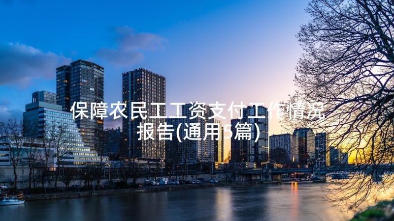 保障农民工工资支付工作情况报告(通用5篇)