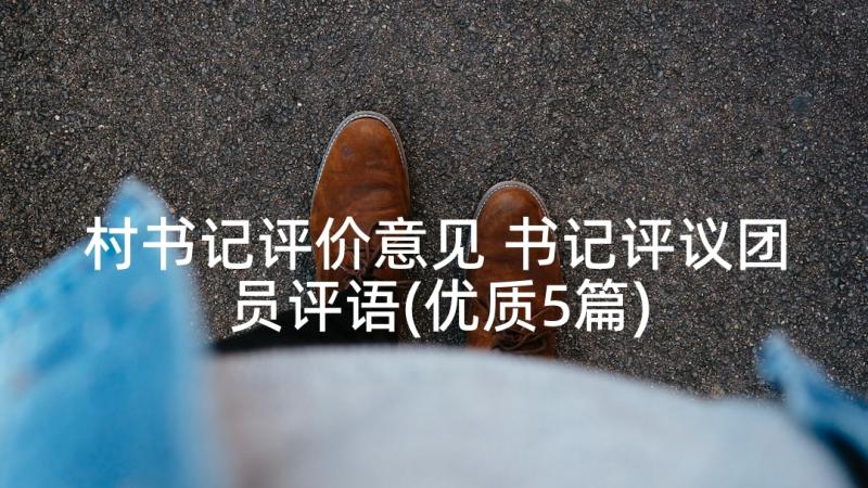 村书记评价意见 书记评议团员评语(优质5篇)