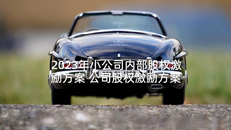 2023年小公司内部股权激励方案 公司股权激励方案(通用5篇)