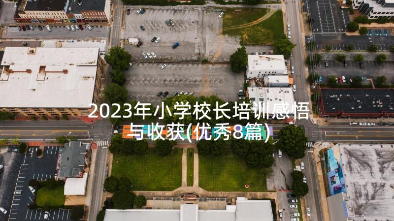 2023年小学校长培训感悟与收获(优秀8篇)