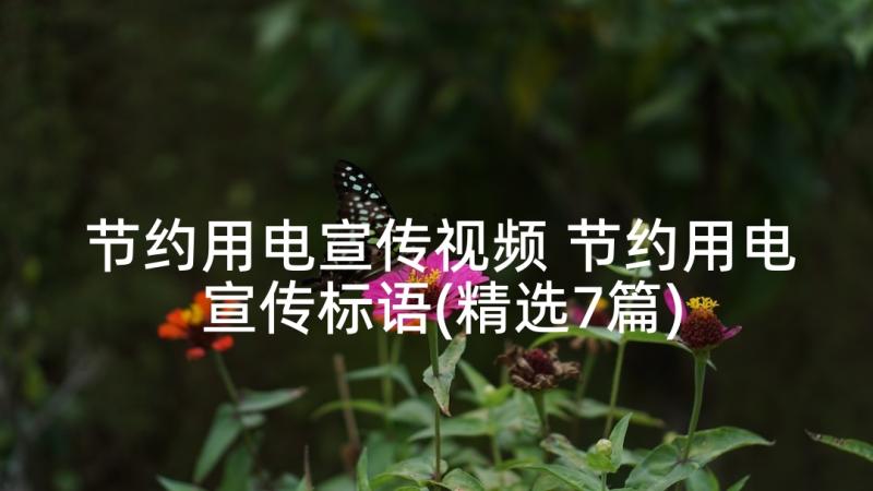 节约用电宣传视频 节约用电宣传标语(精选7篇)