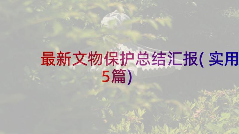 最新文物保护总结汇报(实用5篇)