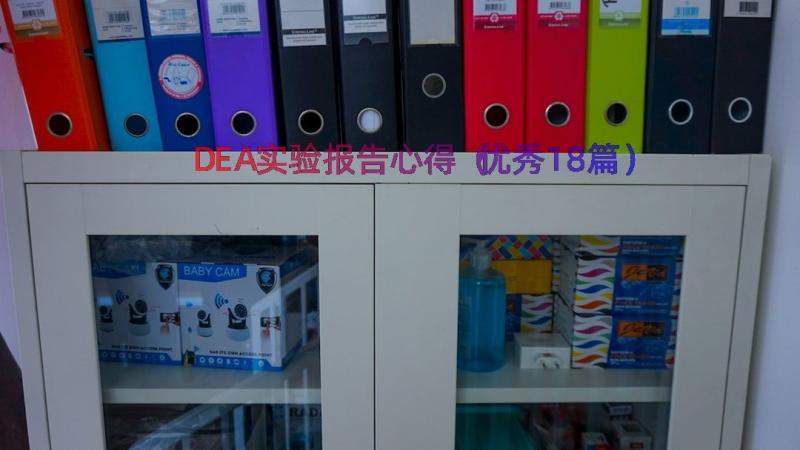 DEA实验报告心得（优秀18篇）