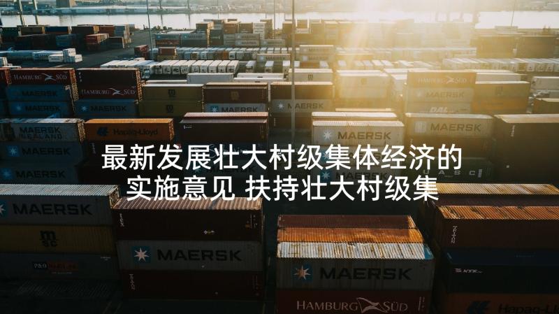 最新发展壮大村级集体经济的实施意见 扶持壮大村级集体经济实施方案(实用5篇)