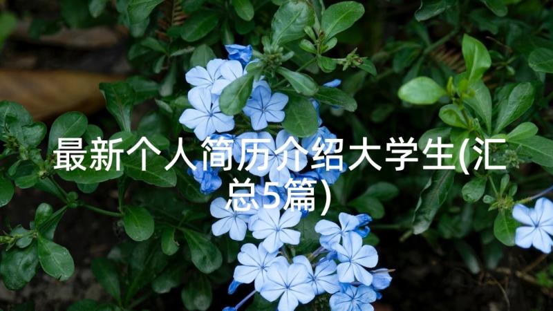 最新个人简历介绍大学生(汇总5篇)