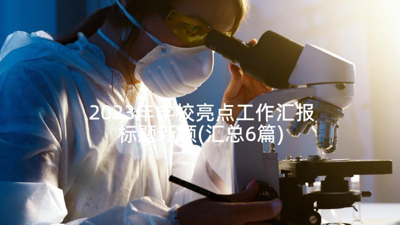 2023年学校亮点工作汇报标题新颖(汇总6篇)