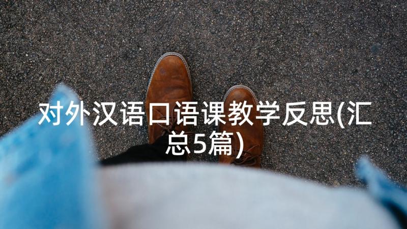 对外汉语口语课教学反思(汇总5篇)