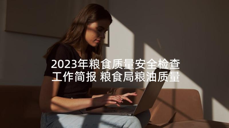 2023年粮食质量安全检查工作简报 粮食局粮油质量安全检查年终工作总结(精选5篇)