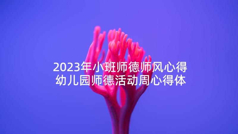 2023年小班师德师风心得 幼儿园师德活动周心得体会(精选6篇)