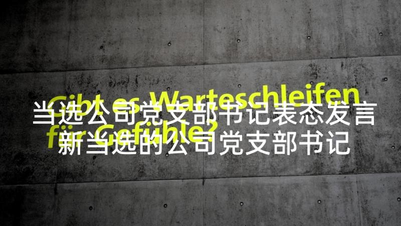 当选公司党支部书记表态发言 新当选的公司党支部书记表态发言(优质5篇)