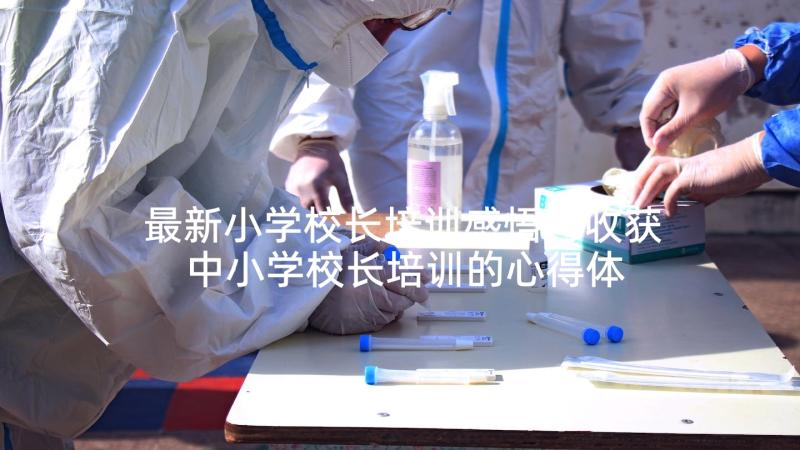 最新小学校长培训感悟与收获 中小学校长培训的心得体会(精选7篇)