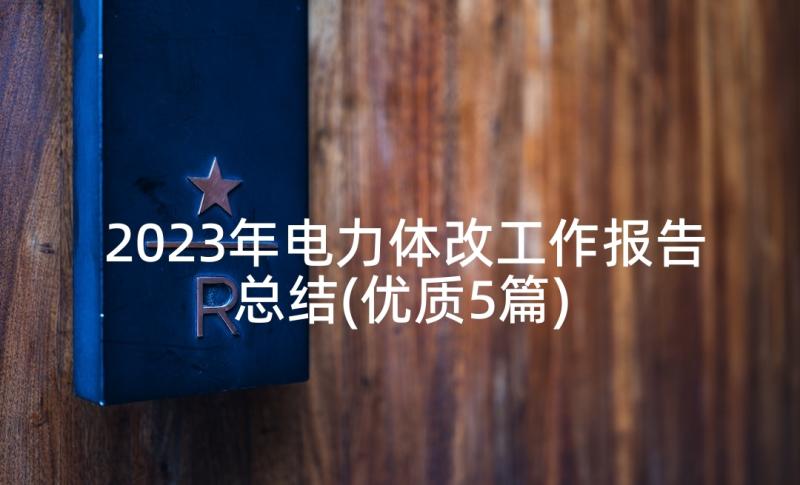 2023年电力体改工作报告总结(优质5篇)