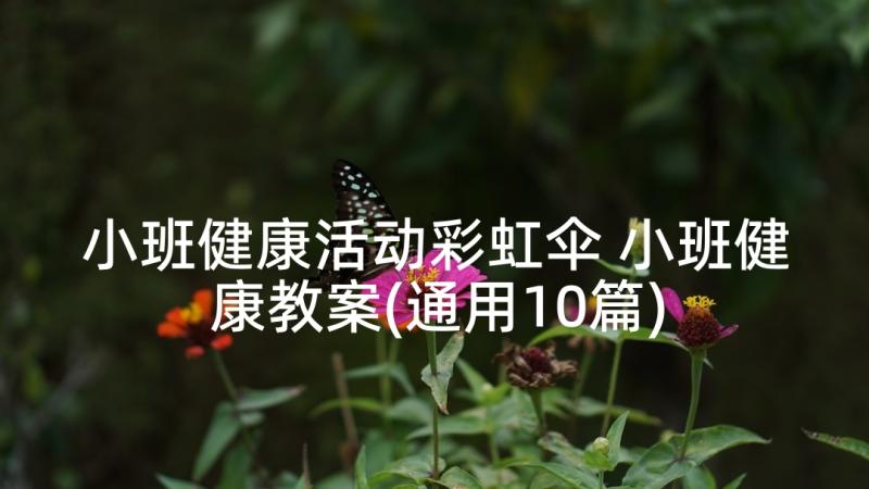 小班健康活动彩虹伞 小班健康教案(通用10篇)