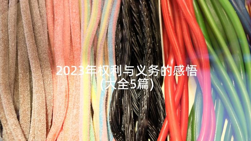 2023年权利与义务的感悟(大全5篇)