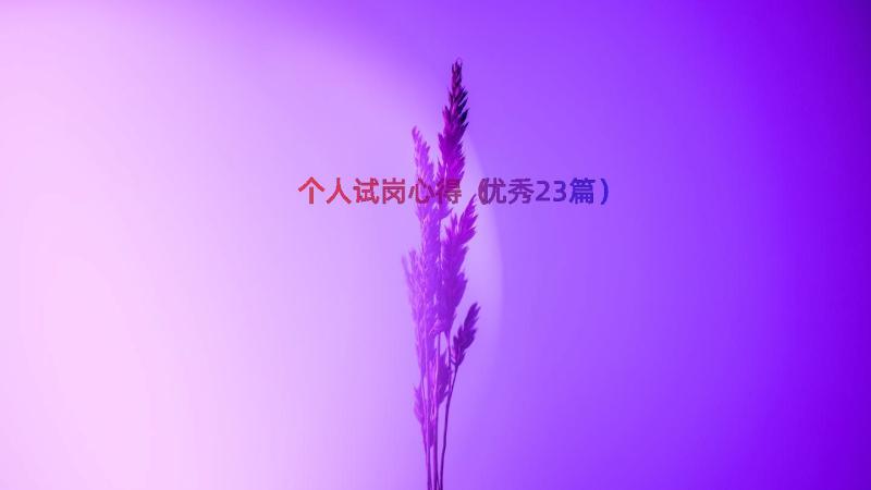 个人试岗心得（优秀23篇）