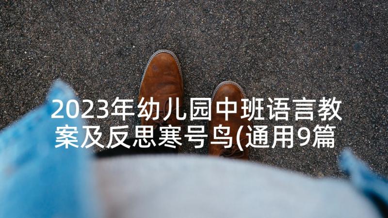 2023年幼儿园中班语言教案及反思寒号鸟(通用9篇)