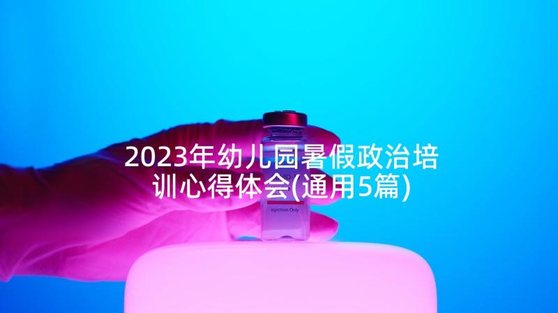 2023年幼儿园暑假政治培训心得体会(通用5篇)
