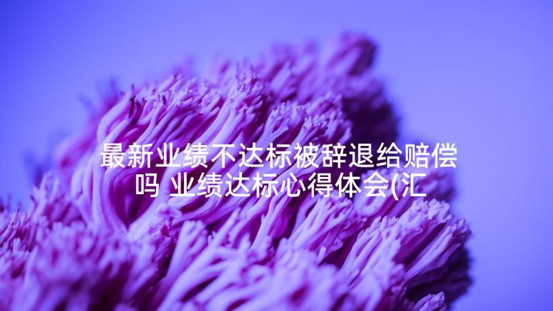 最新业绩不达标被辞退给赔偿吗 业绩达标心得体会(汇总8篇)