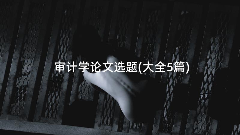 审计学论文选题(大全5篇)