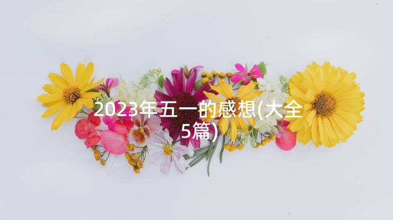 2023年五一的感想(大全5篇)