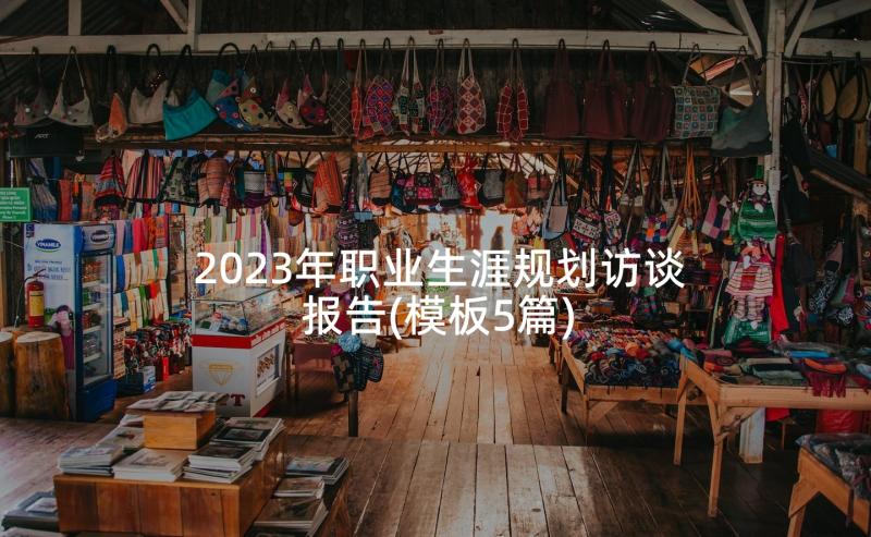 2023年职业生涯规划访谈报告(模板5篇)