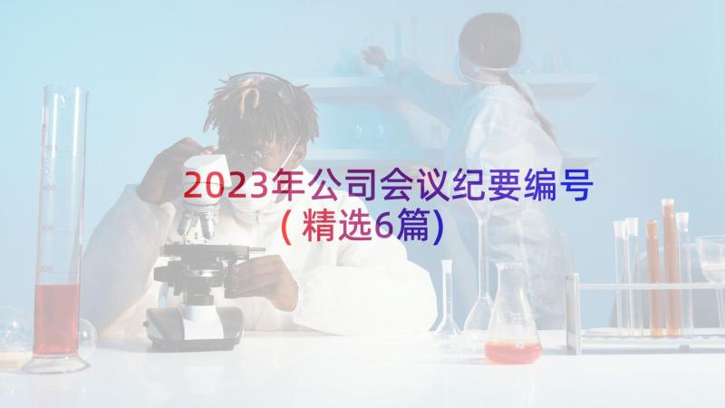 2023年公司会议纪要编号(精选6篇)