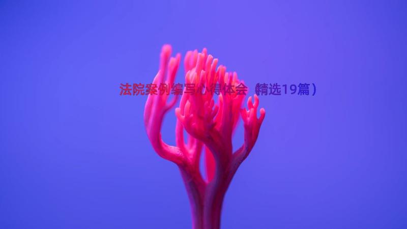 法院案例编写心得体会（精选19篇）