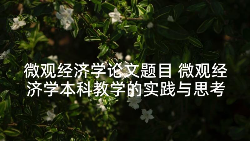 微观经济学论文题目 微观经济学本科教学的实践与思考论文(汇总5篇)