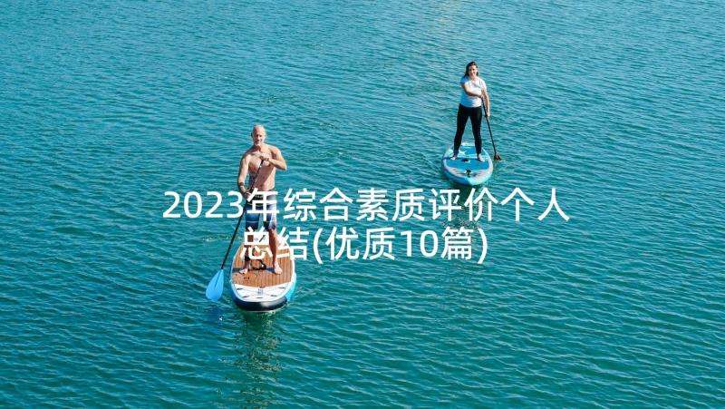 2023年综合素质评价个人总结(优质10篇)