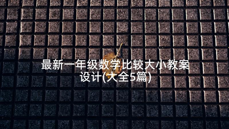 最新一年级数学比较大小教案设计(大全5篇)