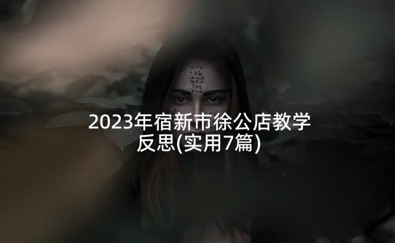 2023年宿新市徐公店教学反思(实用7篇)