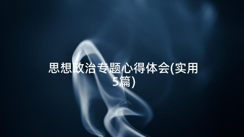 思想政治专题心得体会(实用5篇)