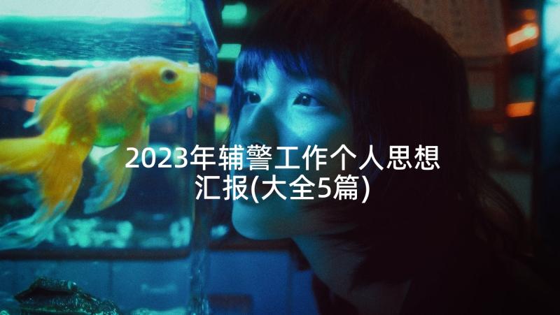 2023年辅警工作个人思想汇报(大全5篇)