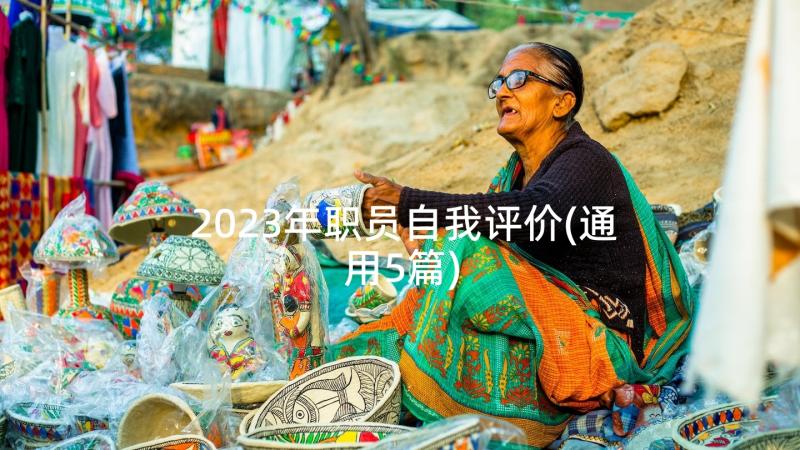 2023年职员自我评价(通用5篇)